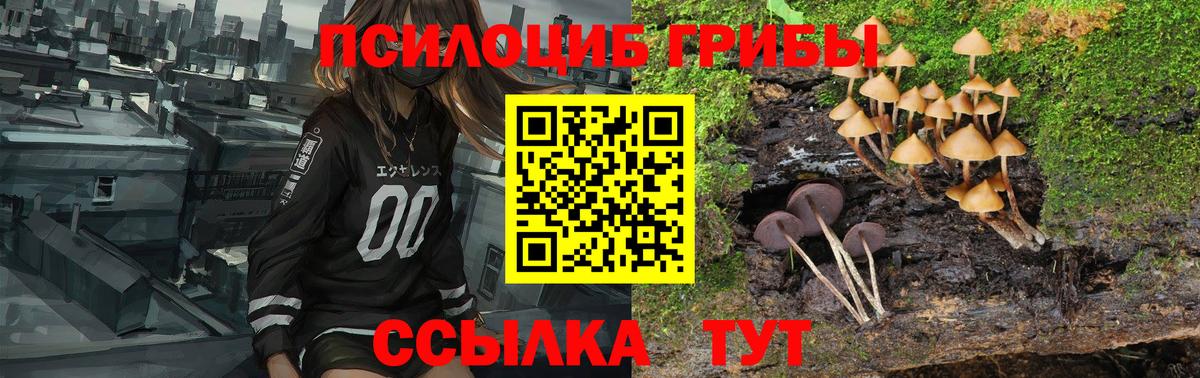 Горячий Ключ  как найти закладки  Вход с VPN  Галлюциногенные грибы прущие грибы  Псилоцибиновые грибы прущие грибы 